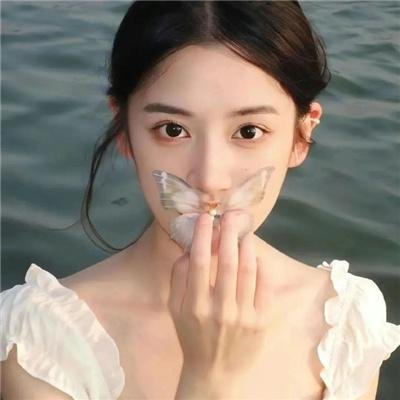 剧集精选 06