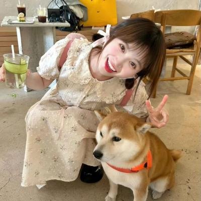 剧集精选 10